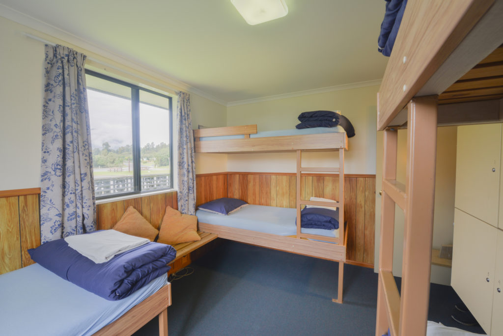 bunk bed in dorm in wilderness motel haast new zealand